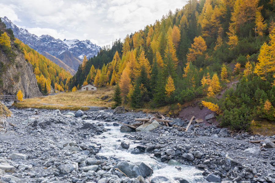 Couleurs d'automne dans le Parc National Suisse - Yorick Brunet - Along the Ridge - Accompagnateur en montagne