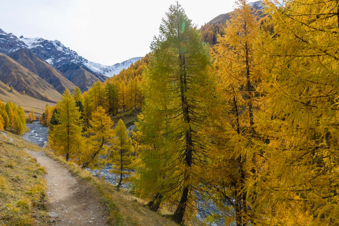Couleurs d'automne dans le Parc National Suisse - Yorick Brunet - Along the Ridge - Accompagnateur en montagne