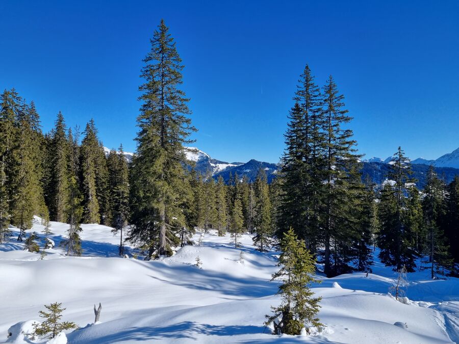 Région Habkern - Yorick Brunet - Along the Ridge - Accompagnateur en montagne
