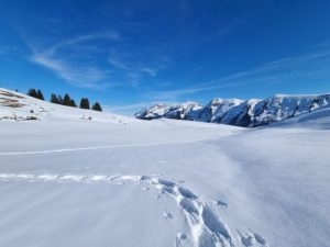 Randonnée en raquettes en Suisse - Yorick Brunet - Along the Ridge - Accompagnateur en montagne