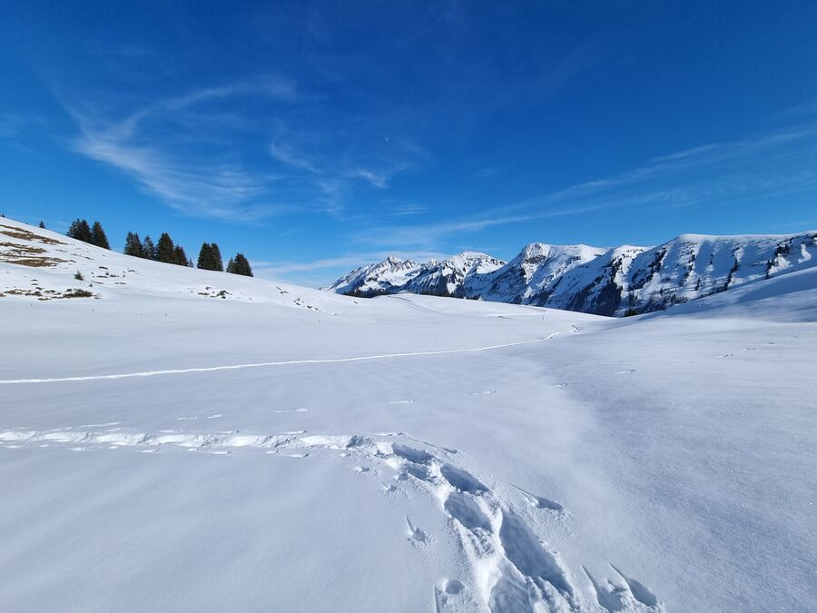 Région Habkern - Yorick Brunet - Along the Ridge - Accompagnateur en montagne
