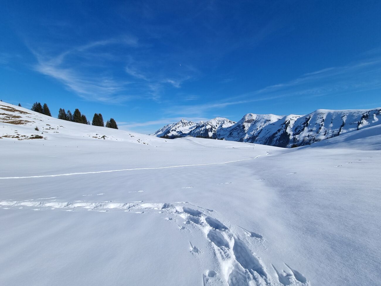 Région Habkern - Yorick Brunet - Along the Ridge - Accompagnateur en montagne