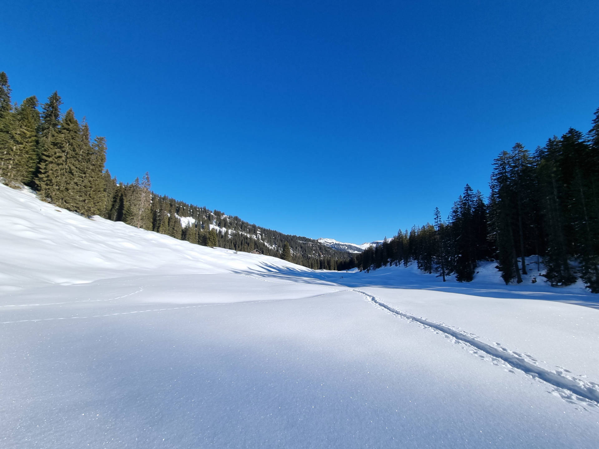 Yorick Brunet - Along the Ridge - Accompagnateur en montagne