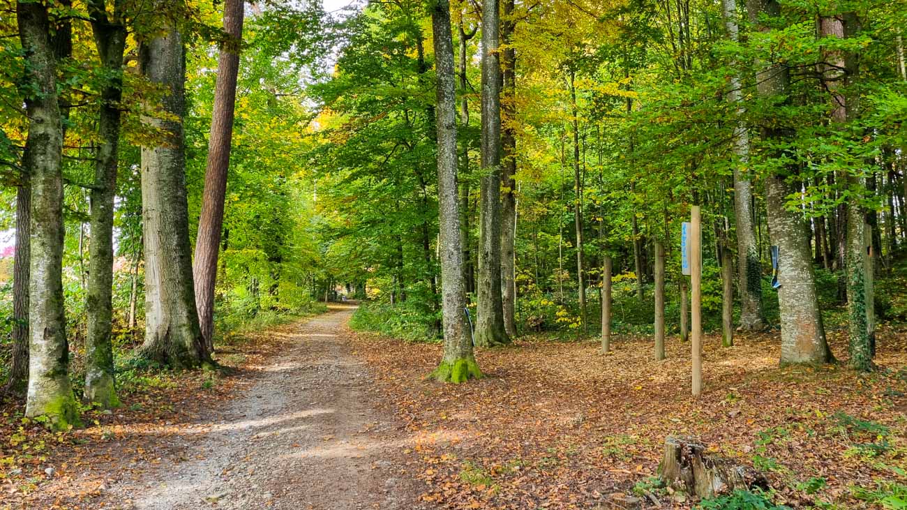 Vallée du Gottéron - Yorick Brunet - Along the Ridge - Accompagnateur en montagne