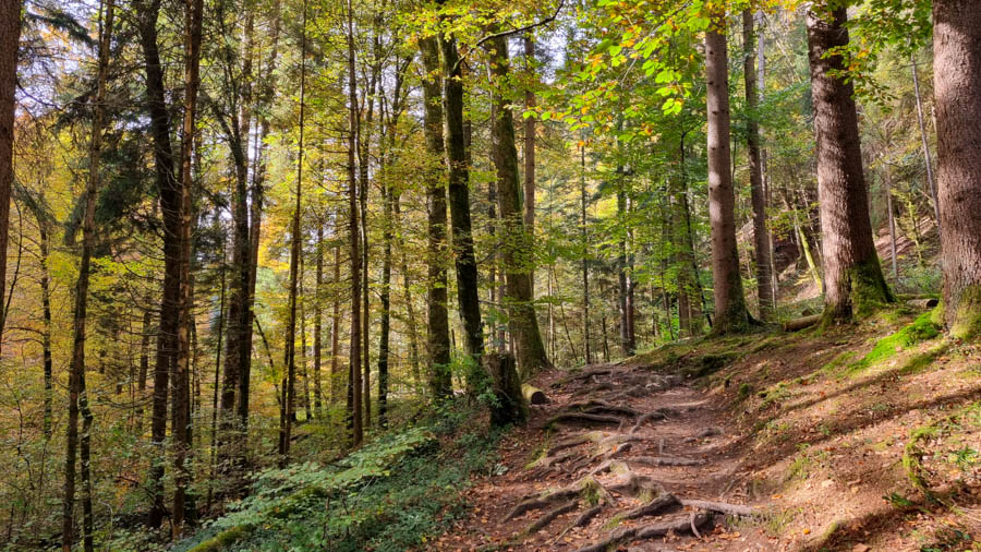 Vallée du Gottéron - Yorick Brunet - Along the Ridge - Accompagnateur en montagne