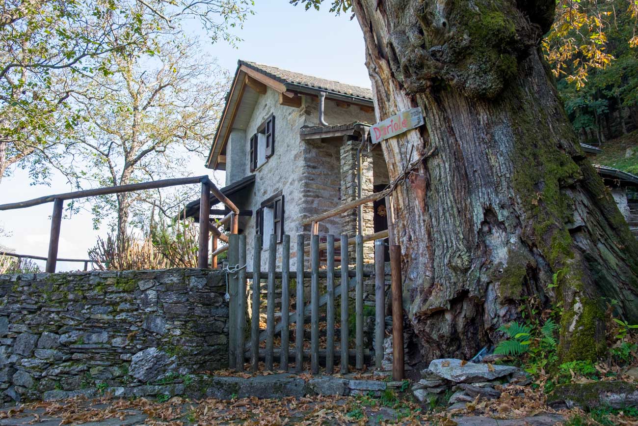 Sur les chemins tessinois - Yorick Brunet - Along the Ridge - Accompagnateur en montagne