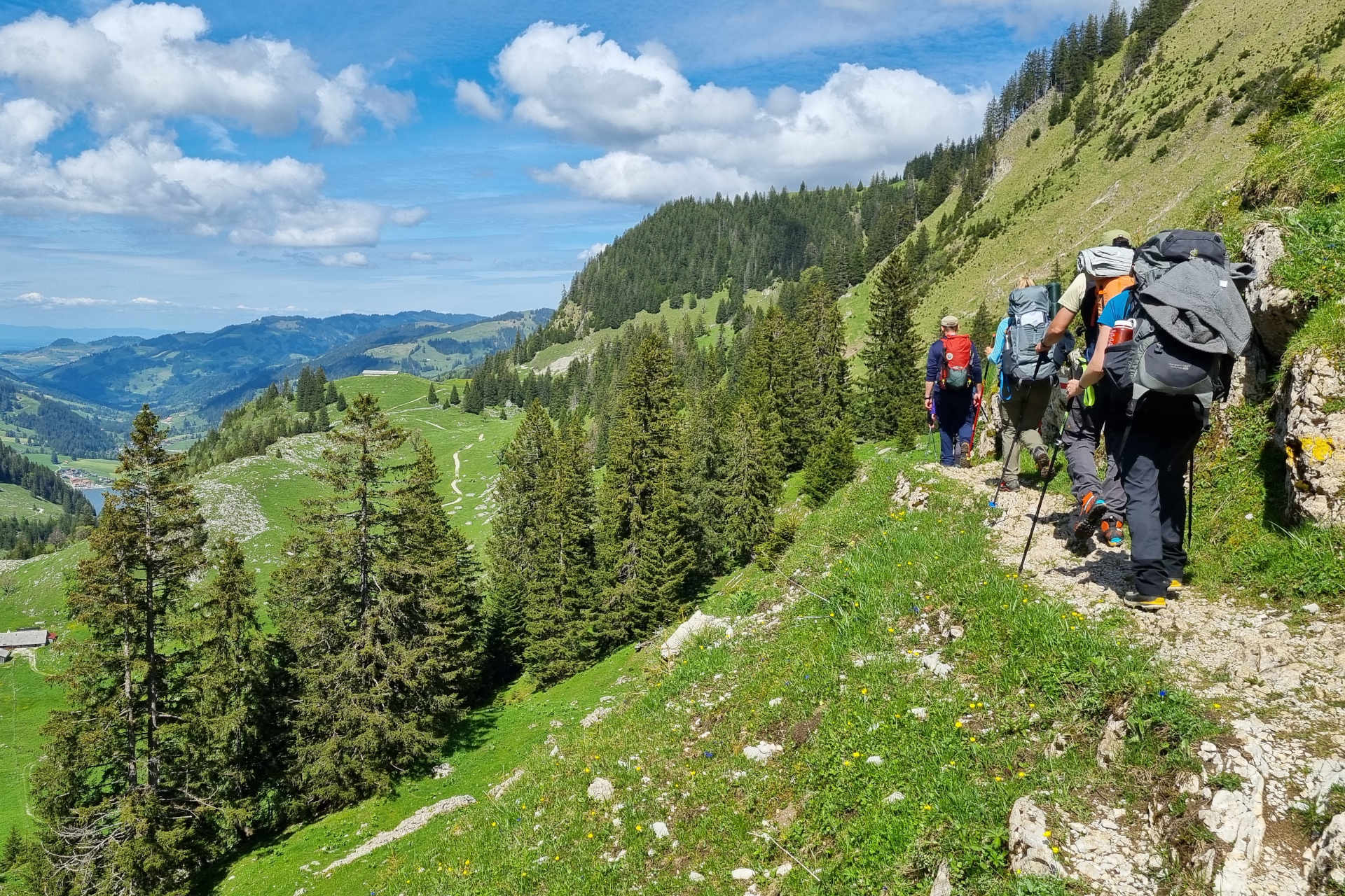 Randonnée d'été - Yorick Brunet - Along the Ridge - Accompagnateur en montagne