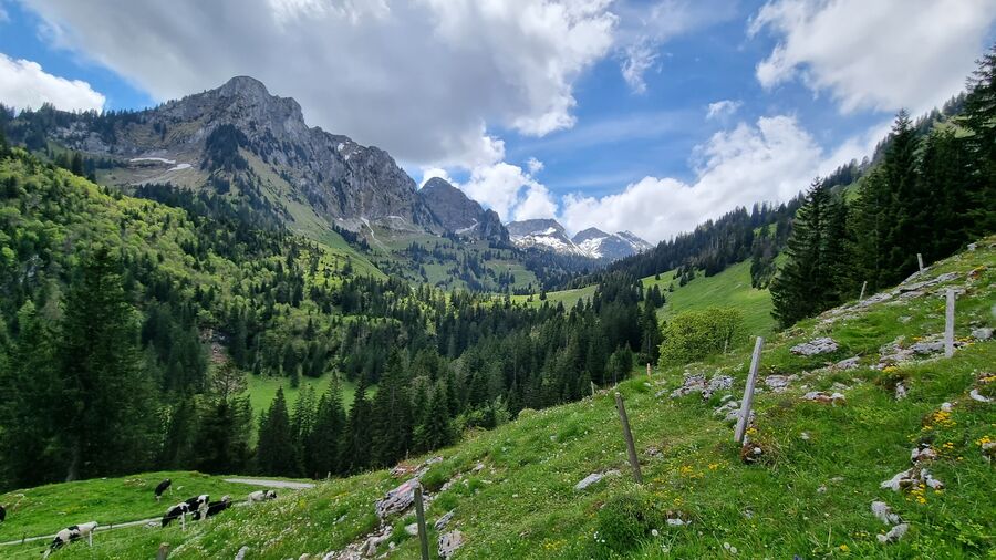 Région Schwarzsee - Yorick Brunet - Along the Ridge - Accompagnateur en montagne