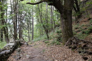 Sur les chemins tessinois - Yorick Brunet - Along the Ridge - Accompagnateur en montagne