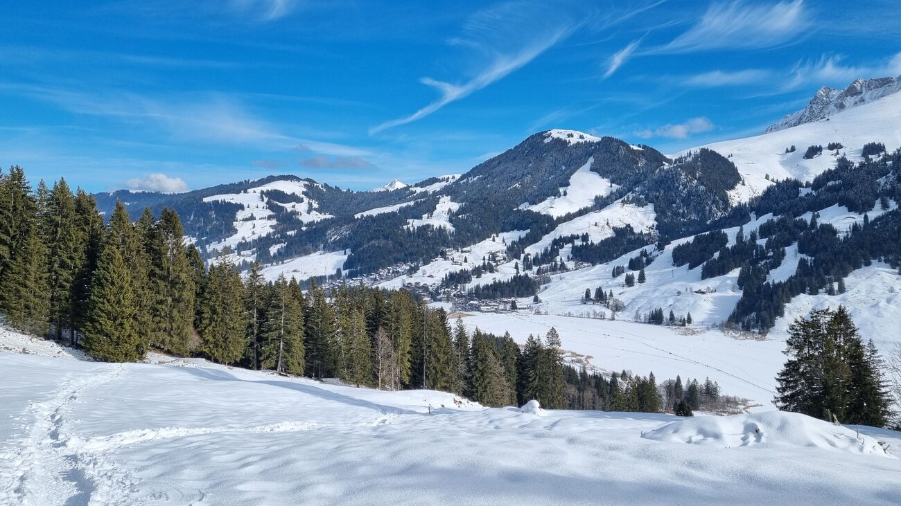 Snowshoe outing – Yorick Brunet – Along the Ridge – Mountain leader