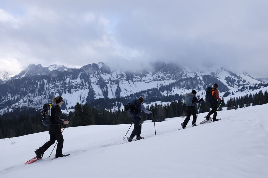 Sortie raquettes - Yorick Brunet - Along the Ridge - Accompagnateur en montagne