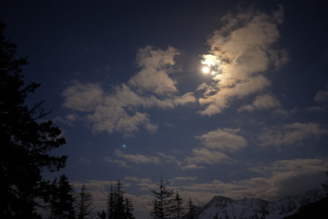 Sortie raquettes à la pleine lune - Yorick Brunet - Along the Ridge - Accompagnateur en montagne